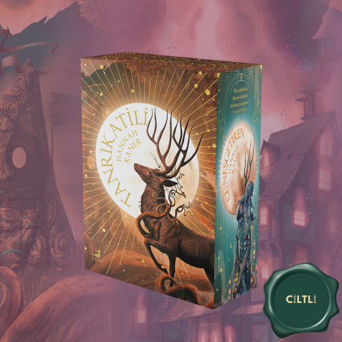 Düşmüş Tanrılar Serisi 3 Kitaplık Kutulu Set (Ciltli)