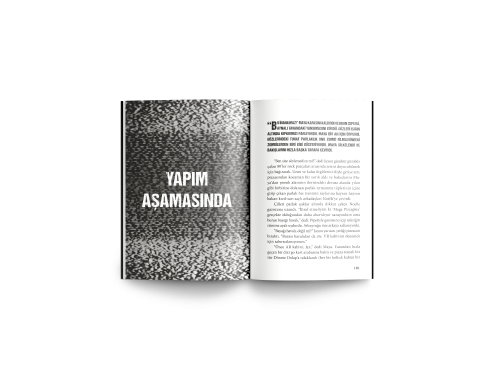 Pizzaplex'ten Hikâyeler #1 : Lally'nin Oyunu - Olimpos Yayınları Kitap