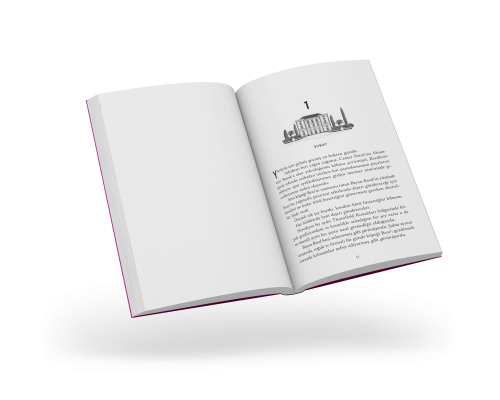 Üst Kattaki Kadın - Olimpos Yayınları Kitap Dolu Günler Diler...